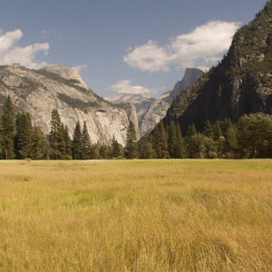 Meet your Posher, Luis